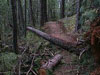 Trail work and clean up
being performed along
the West Weaver trail.