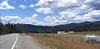 Complete view of the forest from HWY 3 by the airport.