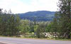 View of the forest from the Weaverville Elementary School.